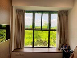 Holland Link (D10), Terrace #461060981